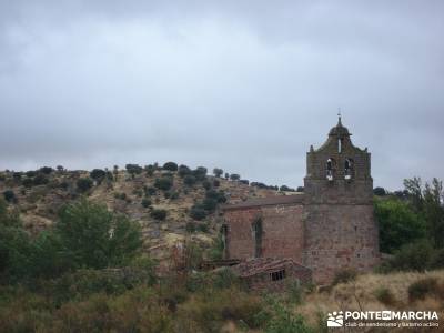 Yacimiento celtíbero de Tiermes y Hoz de Ligos;viajes puente octubre;berrea monfrague